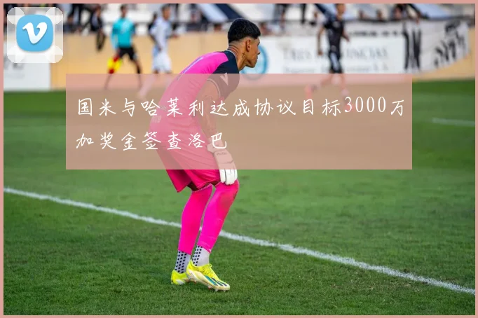 国米与哈莱利达成协议目标3000万加奖金签查洛巴
